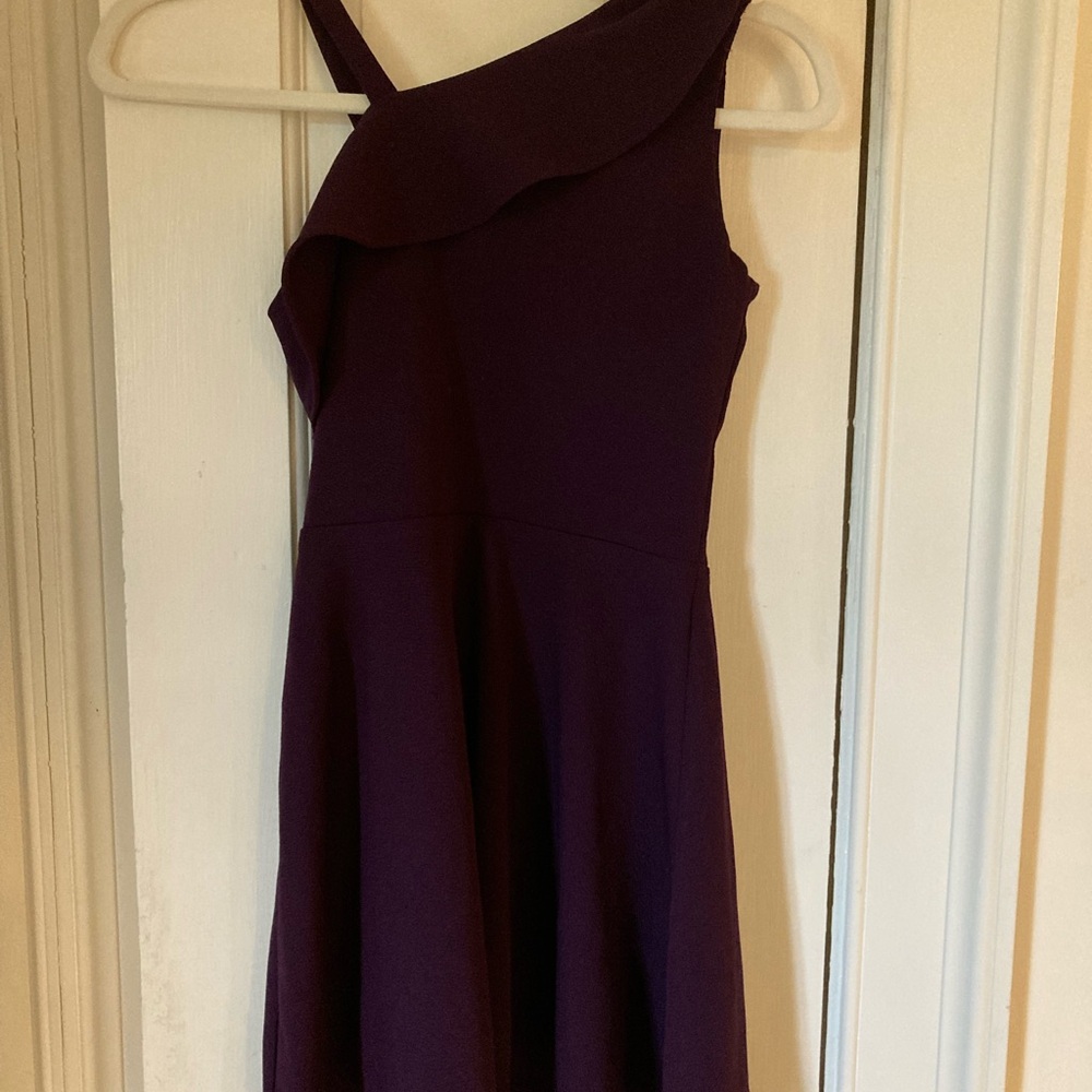 Sally Miller Deep Purple Dress